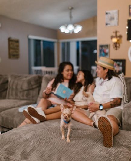 A happy family relaxes on the sofa with their pet dog in a cozy living room.